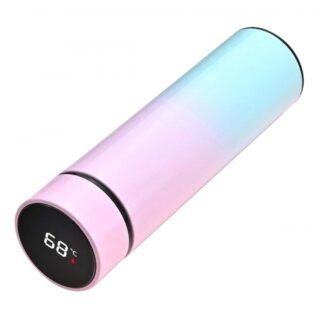 Termosas su skaitmeniniu termometru